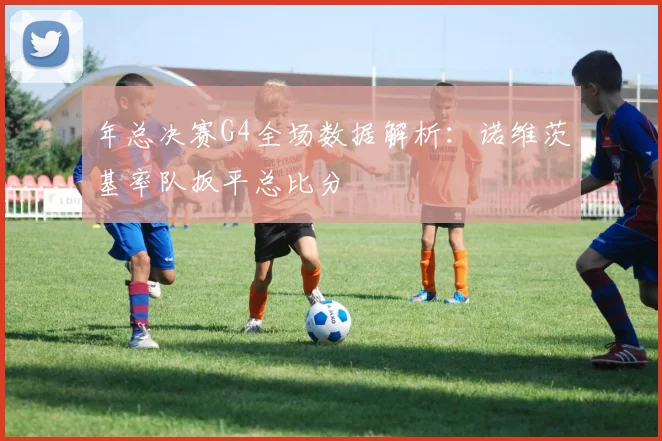 年总决赛G4全场数据解析：诺维茨基率队扳平总比分