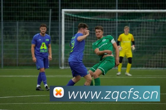 App Interface Preview